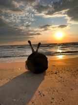 Миниатюра Индивидуалка Ника Коминтерновский Фотография 