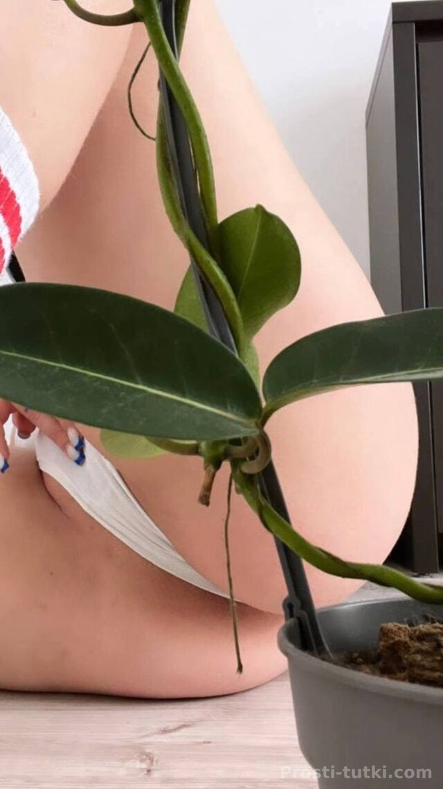 Индивидуалка Мила  Ленинский Фотография 